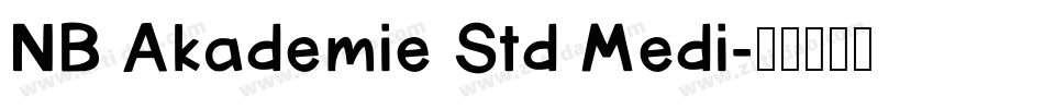 NB Akademie Std Medi字体转换